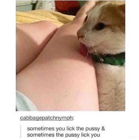 Sometimes the Pussy Licks You