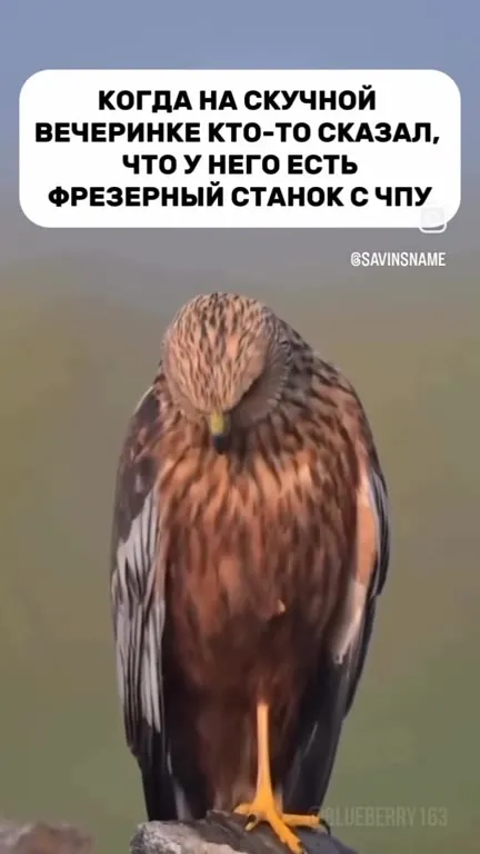 Скучная вечеринка и станок с ЧПУ