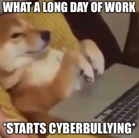 Cheems Starts Cyberbullying