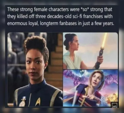 Strong Female Characters Killed Franchises