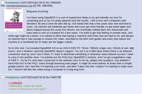 OpenBSD Makes Computing Fun Again