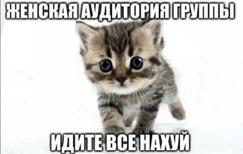 Женская аудитория группы