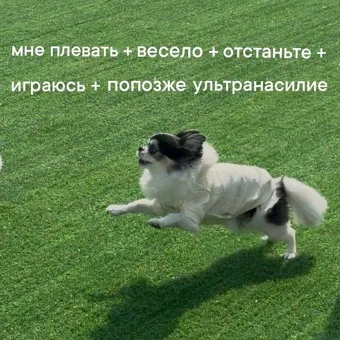 Мне плевать, я играюсь