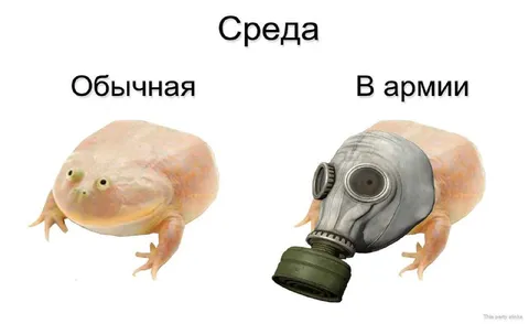 Среда в армии