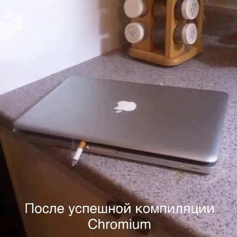 После успешной компиляции Chromium