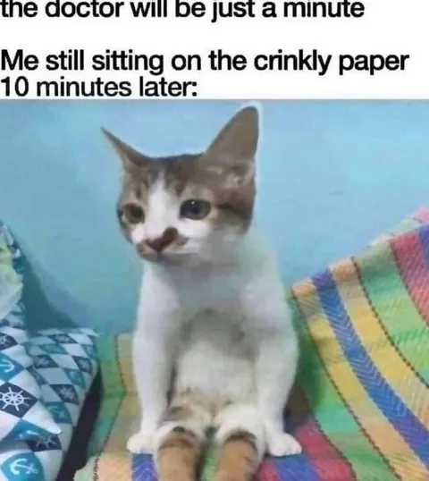 Cat Waiting at the Doctor