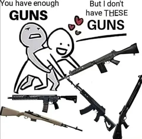 You Have Enough Guns
