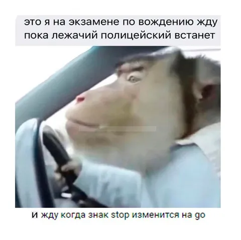 Жду, пока лежачий полицейский встанет