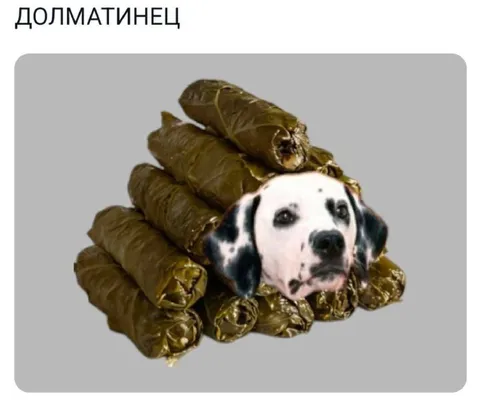 Долматинец из долмы