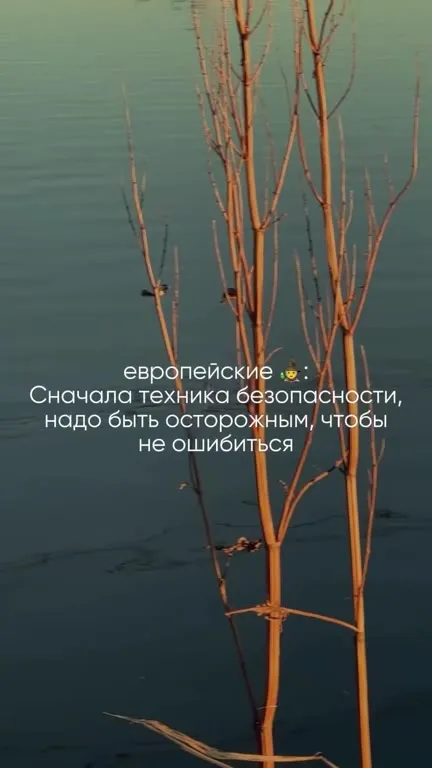 Европейские и русские практики