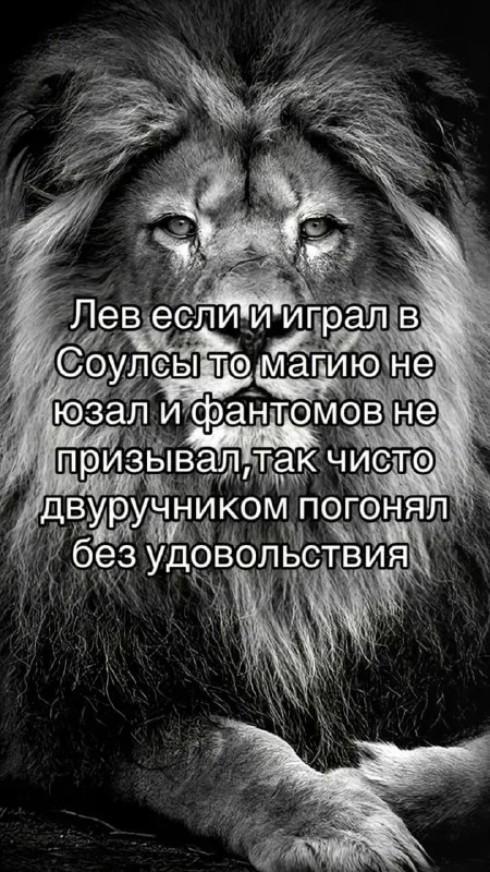Лев прошёл Souls без магии