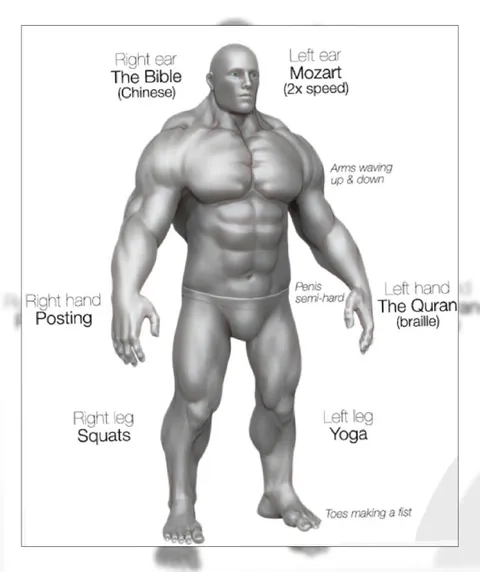 Multitasking Anatomical Man