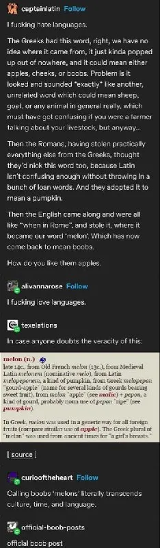 The Etymology of Boobs