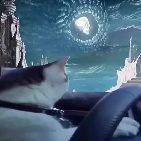 Кот едет через Гиперборею
