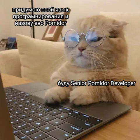 Кот-программист Pomidor