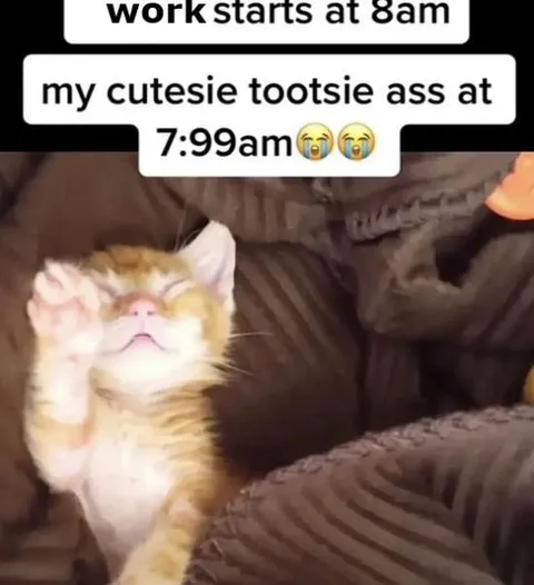 Cutesie Tootsie Ass at 7:99am