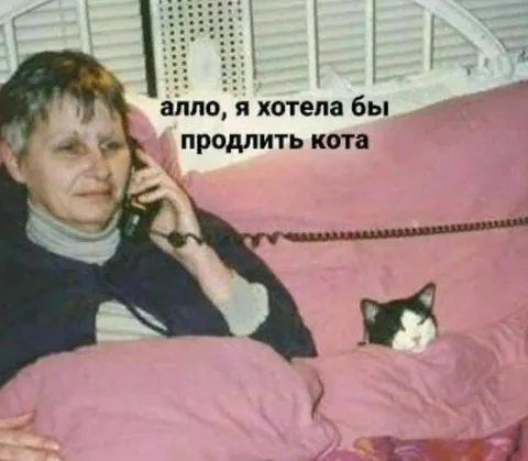 Продлить кота по телефону