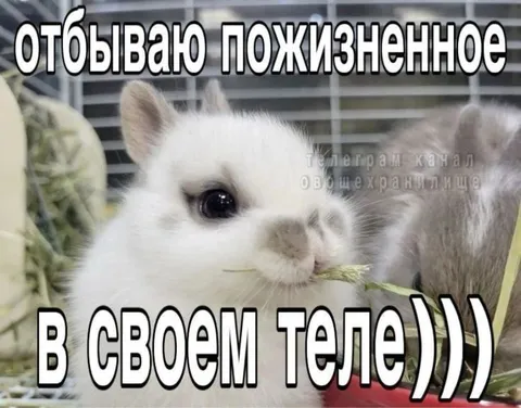 Отбываю пожизненное в своем теле
