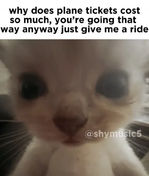Just Give Me a Ride