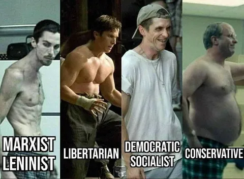 Political Ideology Body Types