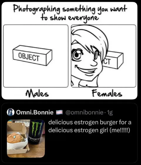 Males Photograph Object, Females Pose