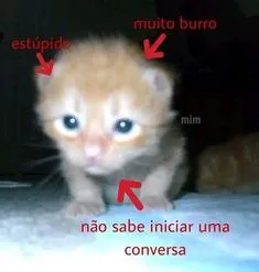 Não sabe iniciar conversa