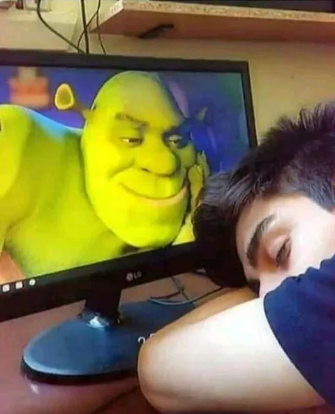 Шрек охраняет сон