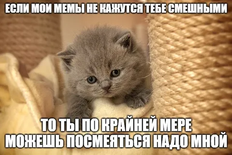Если мемы не смешные