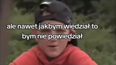 Zakaz wprowadzania psów