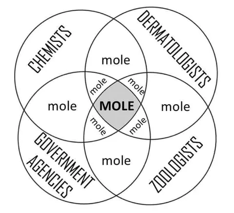 Everyone Means a Different Mole