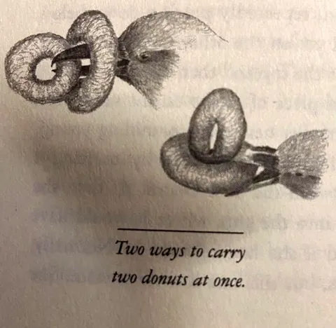Two Ways to Carry Donuts