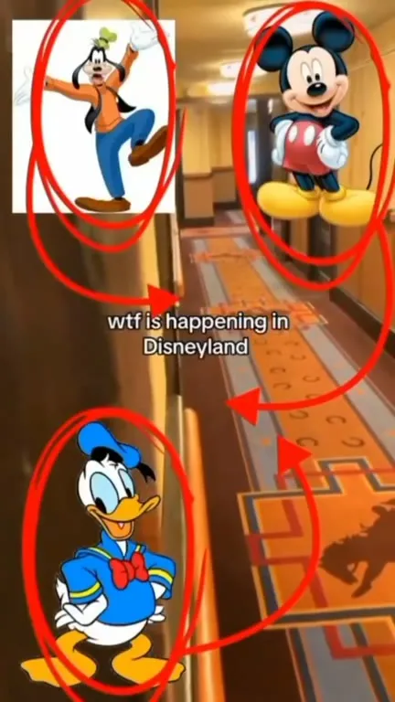 What Is Happening in Disneyland