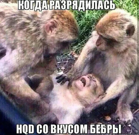 Когда разрядилась нод со вкусом бебры
