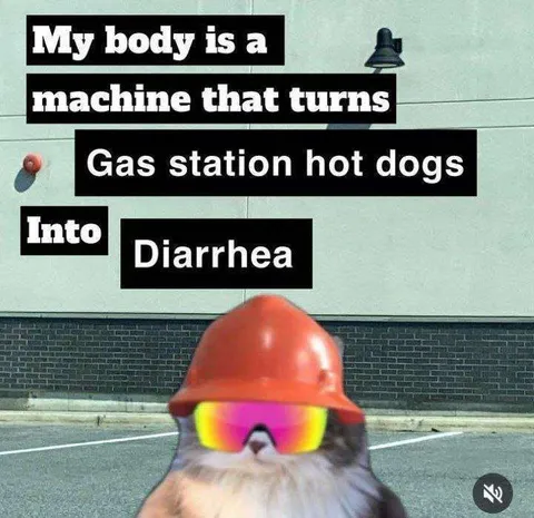 Gas Station Hot Dog Machine