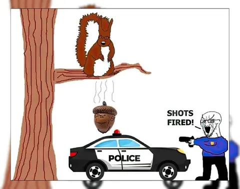 Shots Fired at the Squirrel