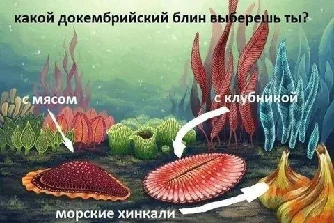 Какой докембрийский блин выберешь