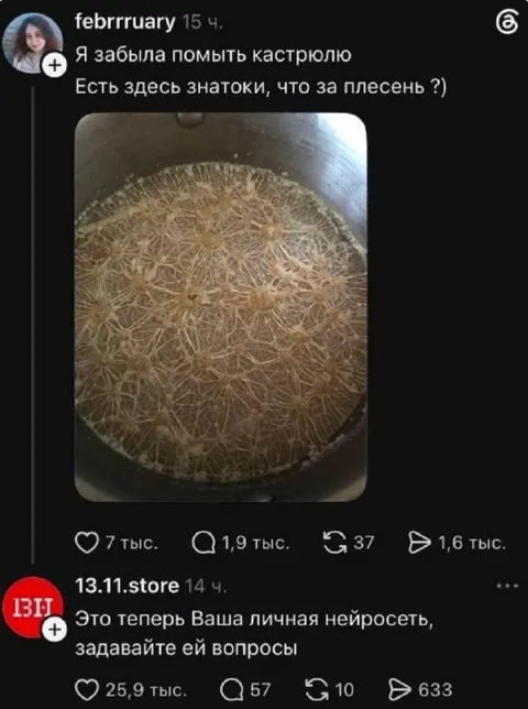Личная нейросеть в кастрюле
