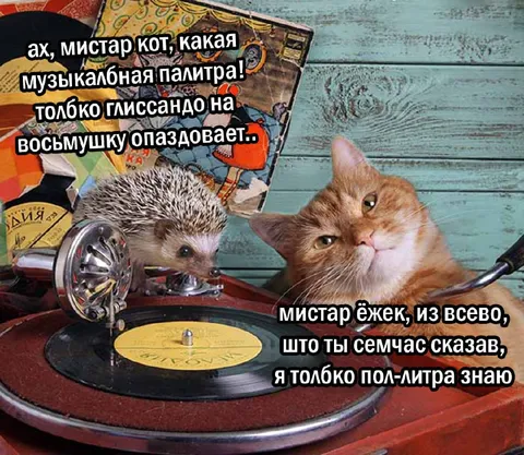 Кот и ёжек обсуждают музыку