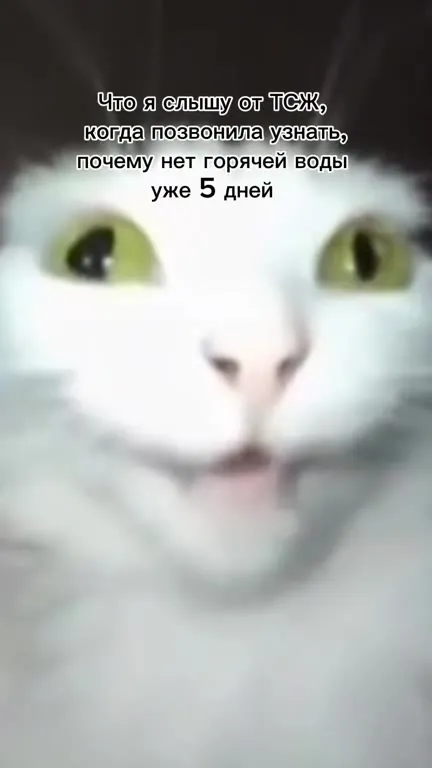 Что слышу от ТСЖ про горячую воду