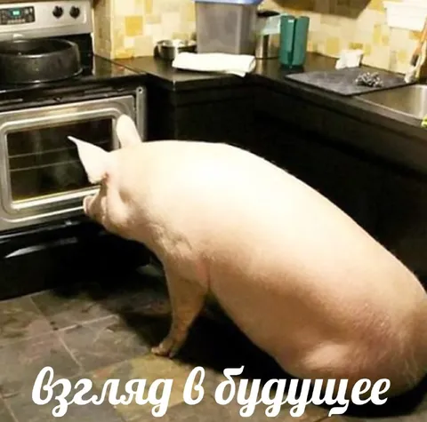 Взгляд в будущее