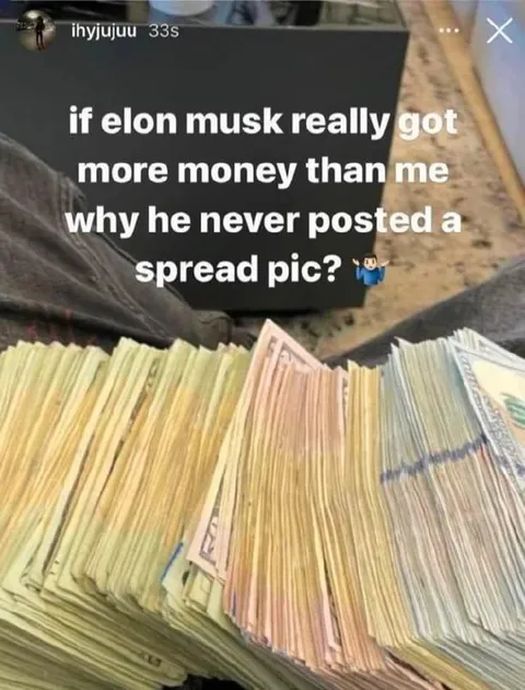 Elon Musk spread pic