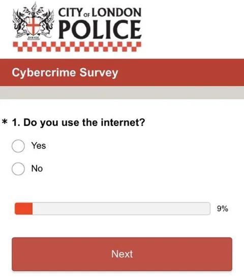 Cybercrime Survey Internet Question
