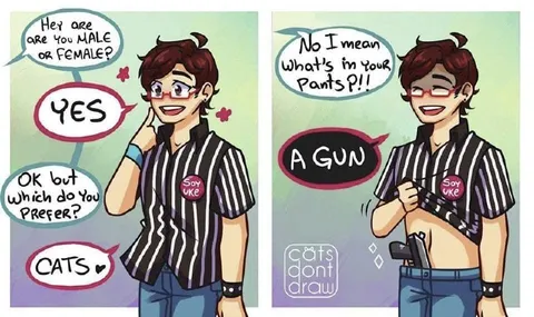 Male or Female? Cats or Gun