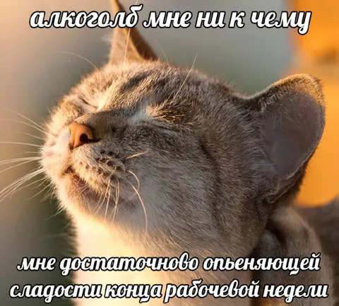 Опьяняющая сладость пятницы