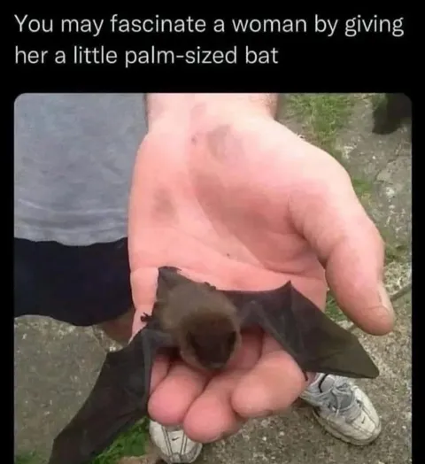 Palm-Sized Bat Charm