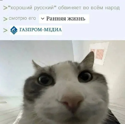 Хороший русский обвиняет народ
