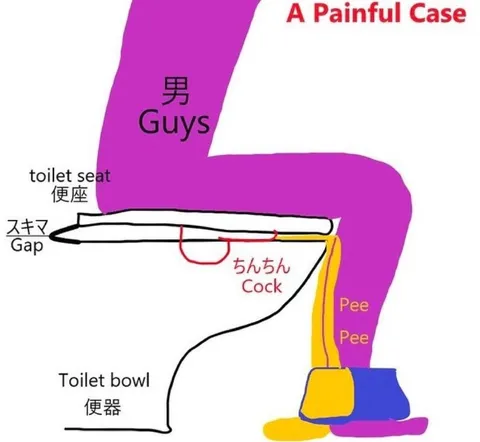 A Painful Case Toilet Diagram