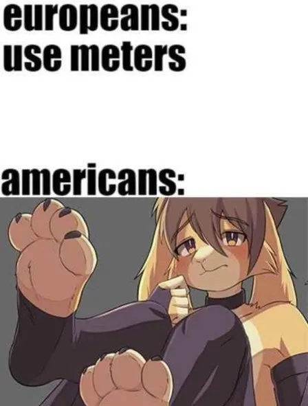 Americans Use Feet