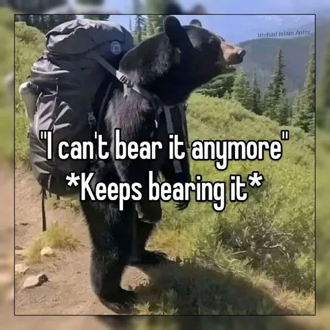 Bear Can't Bear It Anymore
