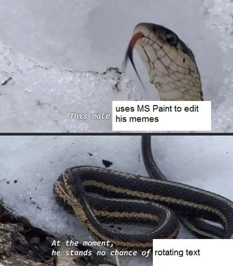 Snake Uses MS Paint Memes